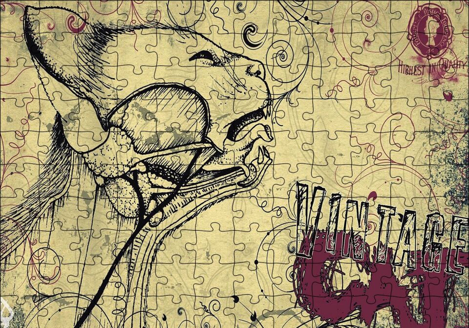 Kedi Detaylı Kesit Çizim Puzzle Yapboz MDF Ahşap