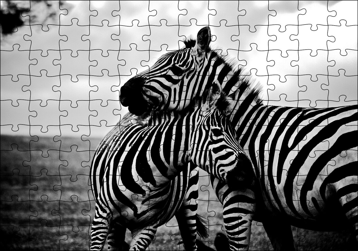 Anne Zebra ve Yavrusu Siyah Beyaz Puzzle Yapboz MDF Ahşap 120 Parça 24 cm X 34 cm