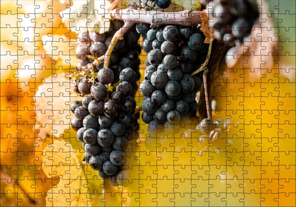 Asma Dalında Kara Üzümler Puzzle Yapboz MDF Ahşap 255 Parça 34 cm X 49 cm