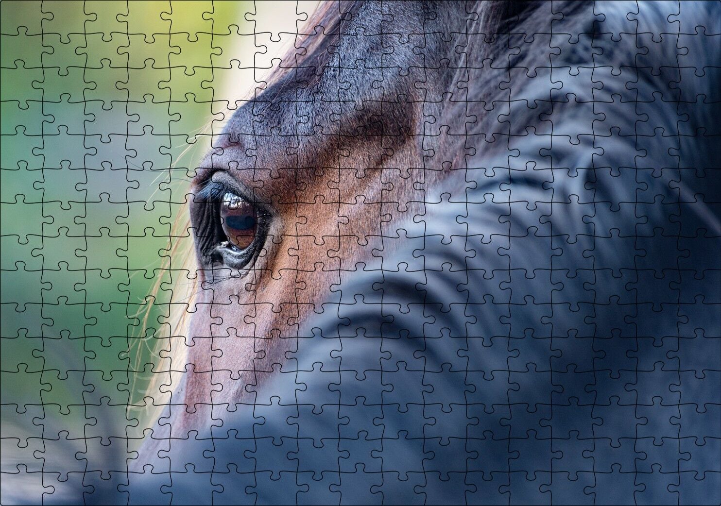Kahverengi At Gözü Arkadan Yakın Çekim Puzzle Yapboz MDF Ahşap 255 Parça 34 cm X 49 cm