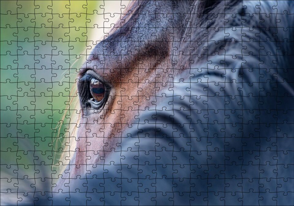 Kahverengi At Gözü Arkadan Yakın Çekim Puzzle Yapboz MDF Ahşap 255 Parça 34 cm X 49 cm