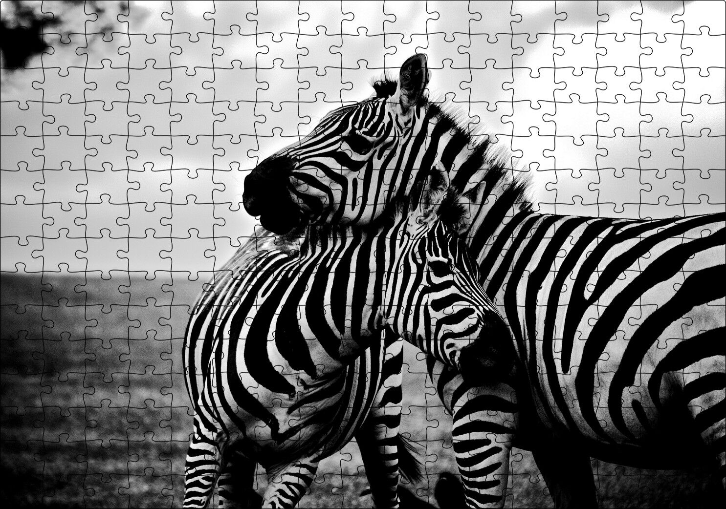 Anne Zebra ve Yavrusu Siyah Beyaz Puzzle Yapboz MDF Ahşap 255 Parça 34 cm X 49 cm