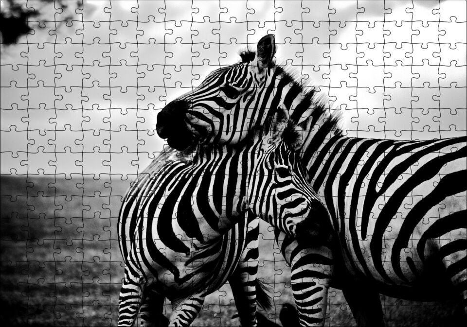 Anne Zebra ve Yavrusu Siyah Beyaz Puzzle Yapboz MDF Ahşap 255 Parça 34 cm X 49 cm