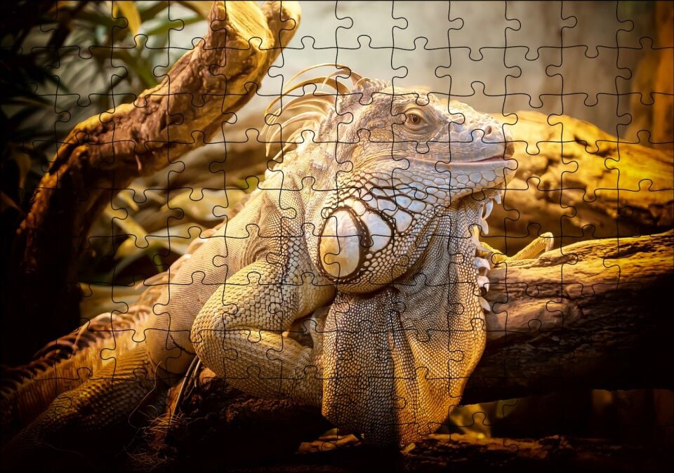 Kütükler Arasındaki Efsanevi Kertenkele Puzzle Yapboz MDF Ahşap