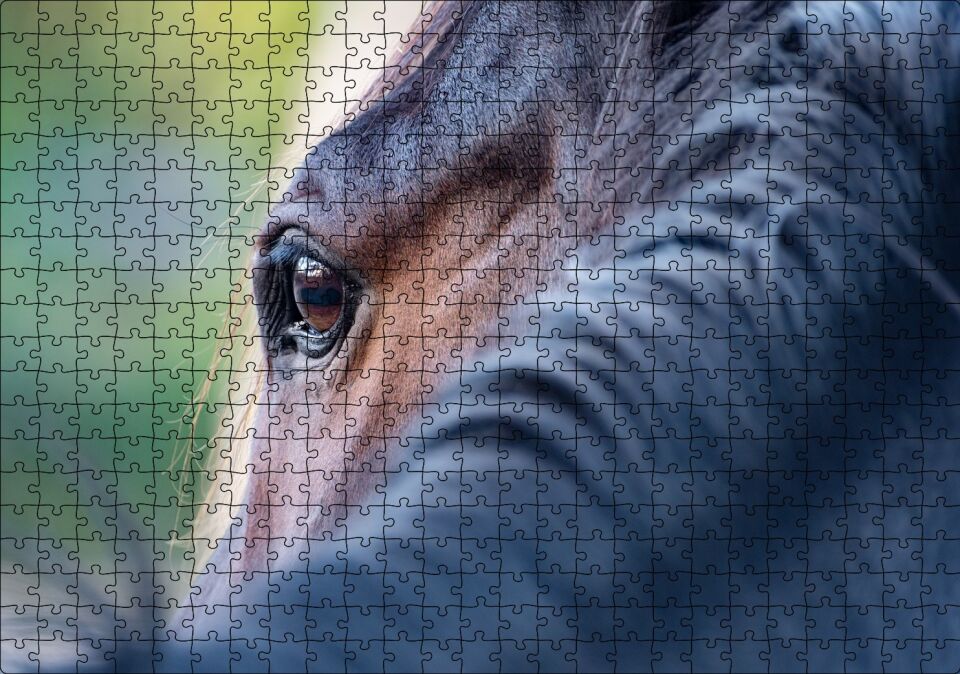Kahverengi At Gözü Arkadan Yakın Çekim Puzzle Yapboz MDF Ahşap 500 Parça 49 cm X 68 cm