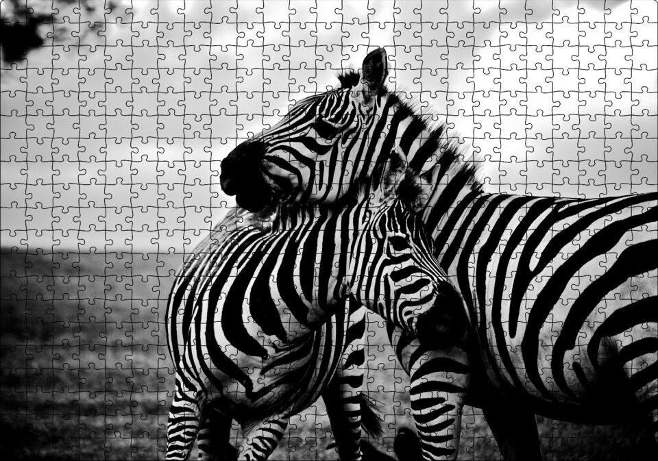 Anne Zebra ve Yavrusu Siyah Beyaz Puzzle Yapboz MDF Ahşap 500 Parça 49 cm X 68 cm