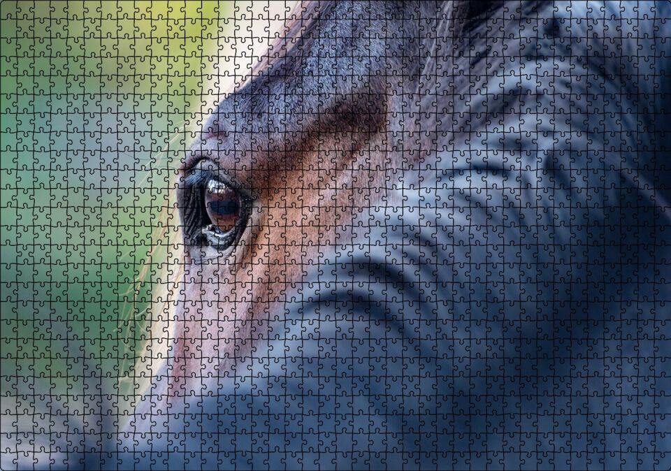 Kahverengi At Gözü Arkadan Yakın Çekim Puzzle Yapboz MDF Ahşap 1000 Parça 49 cm X 68 cm