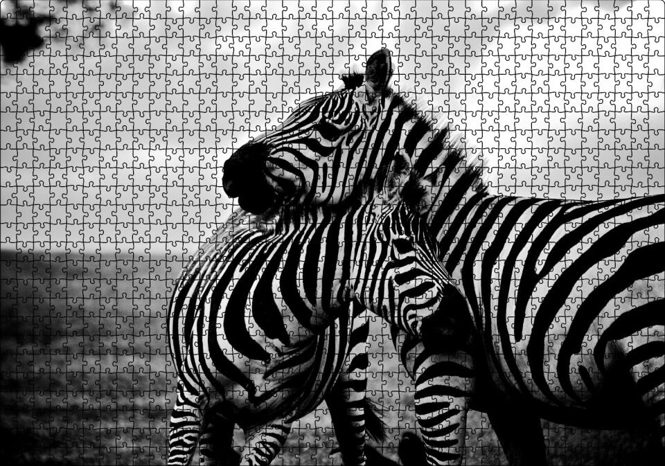 Anne Zebra ve Yavrusu Siyah Beyaz Puzzle Yapboz MDF Ahşap 1000 Parça 49 cm X 68 cm