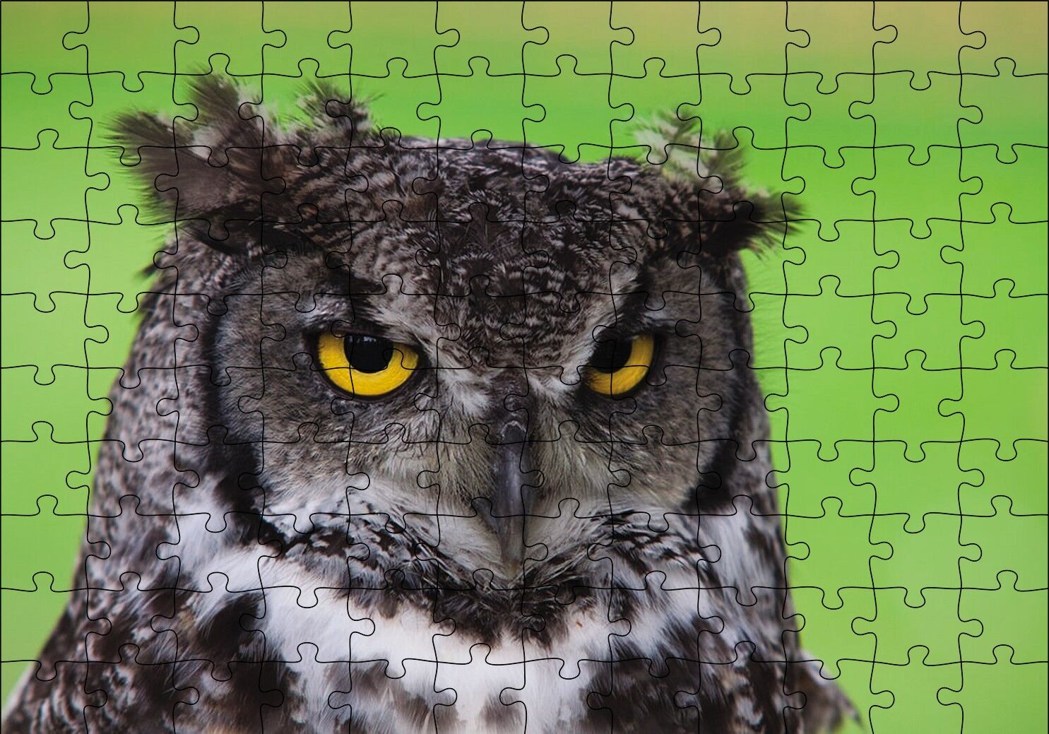 Sarı Gözlü Baykuş Puzzle Yapboz MDF Ahşap 120 Parça 24 cm X 34 cm