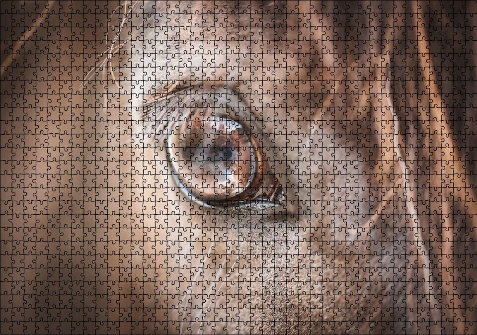 Kahverengi Atın Gözü Yakın Çekim Puzzle Yapboz MDF Ahşap 1000 Parça 49 cm X 68 cm