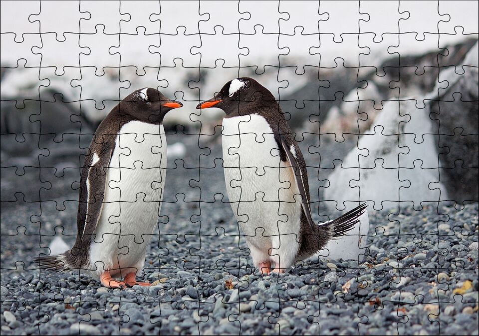 Sevimli Penguenler ve Çakıl Taşları Puzzle Yapboz MDF Ahşap 120 Parça 24 cm X 34 cm