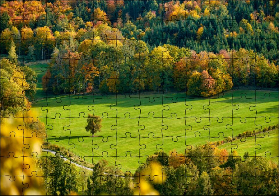Ormanın Ortasındaki Yemyeşil Arazi ve Yalnız Ağaç Puzzle Yapboz MDF Ahşap 120 Parça 24 cm X 34 cm