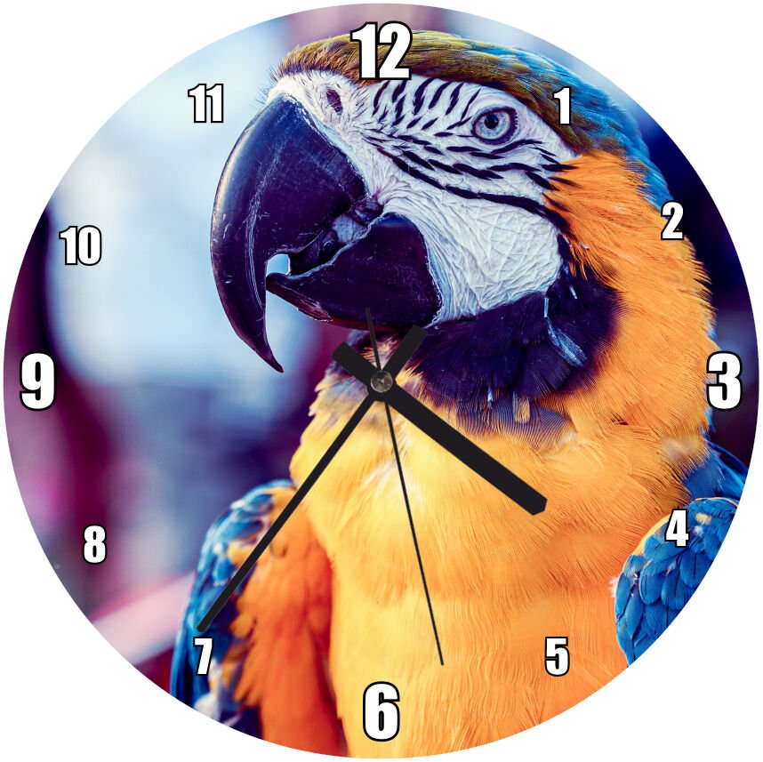 Mavi Sarı Beyaz Papağan Mdf Ahşap Duvar Saati