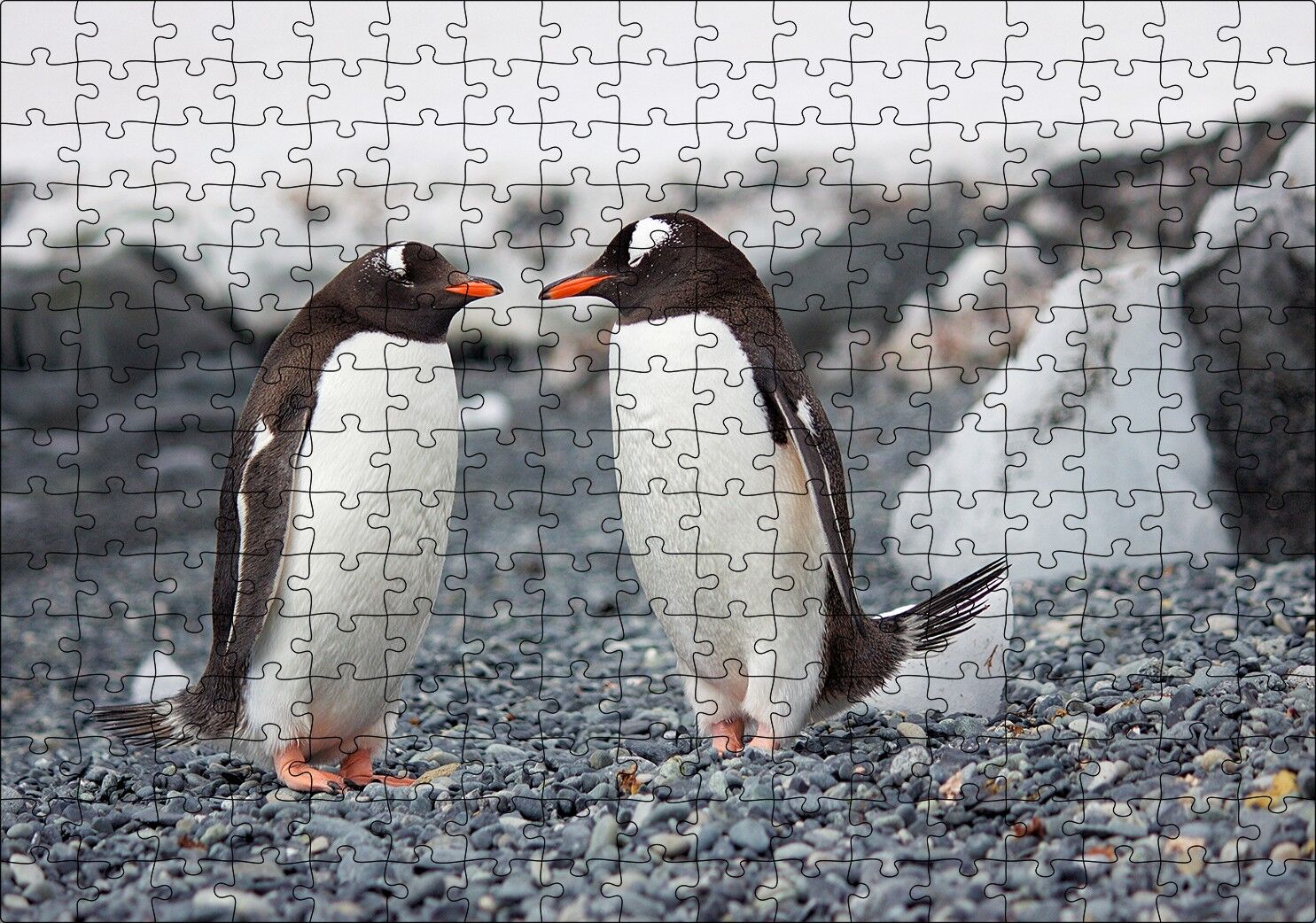 Sevimli Penguenler ve Çakıl Taşları Puzzle Yapboz MDF Ahşap 255 Parça 34 cm X 49 cm