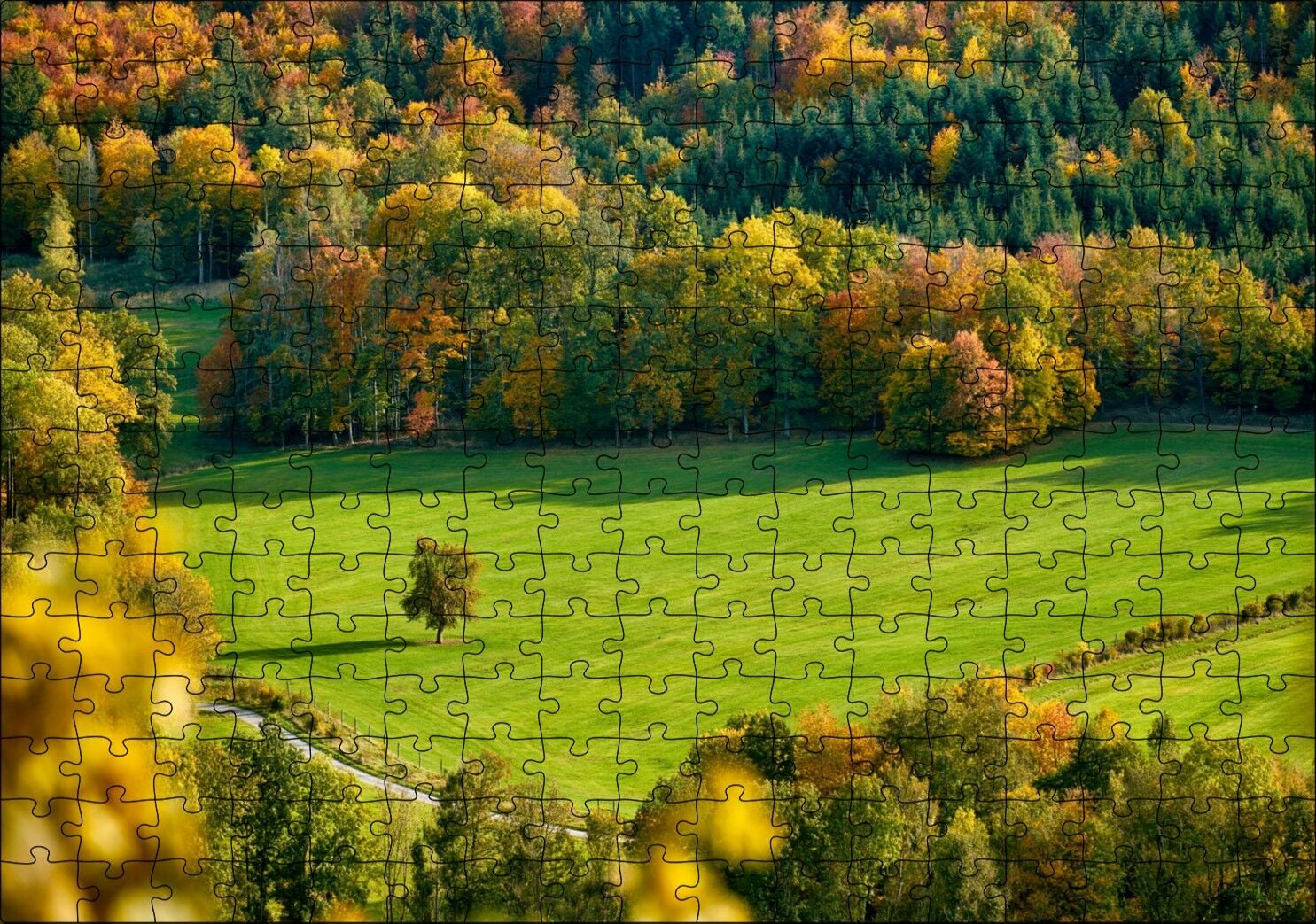Ormanın Ortasındaki Yemyeşil Arazi ve Yalnız Ağaç Puzzle Yapboz MDF Ahşap 255 Parça 34 cm X 49 cm