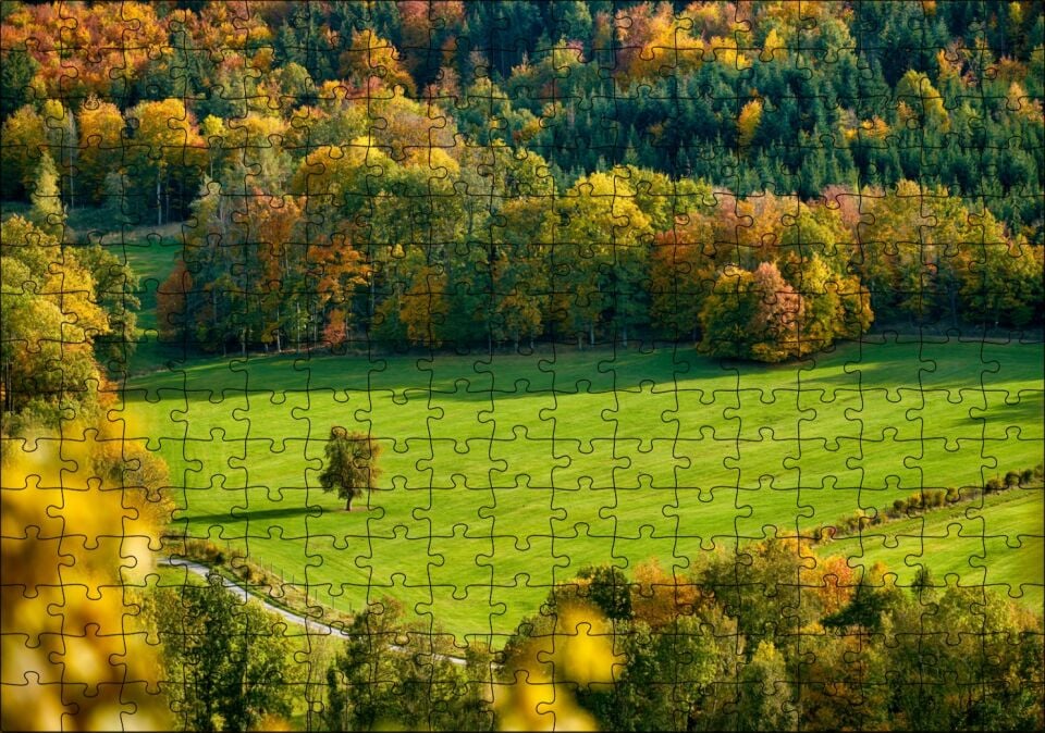 Ormanın Ortasındaki Yemyeşil Arazi ve Yalnız Ağaç Puzzle Yapboz MDF Ahşap 255 Parça 34 cm X 49 cm