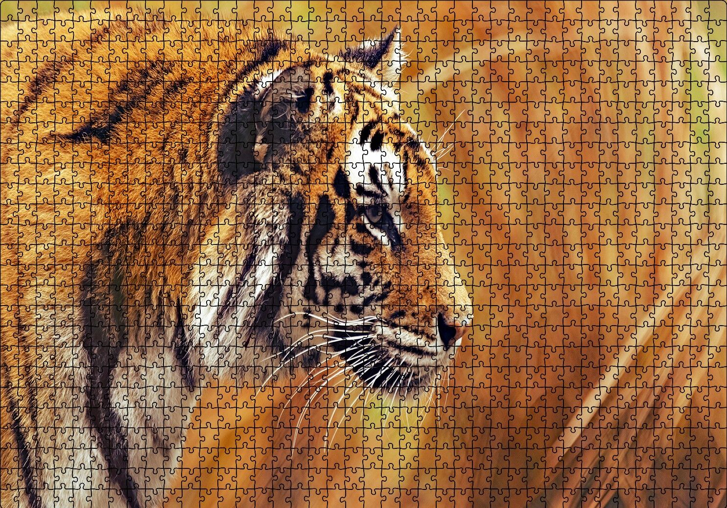 Çayırlar Arasında Kamufle Kaplan Puzzle Yapboz MDF Ahşap 1000 Parça 49 cm X 68 cm