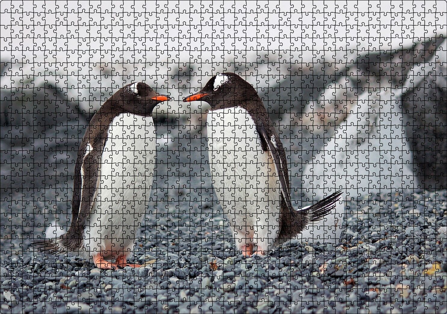 Sevimli Penguenler ve Çakıl Taşları Puzzle Yapboz MDF Ahşap 1000 Parça 49 cm X 68 cm