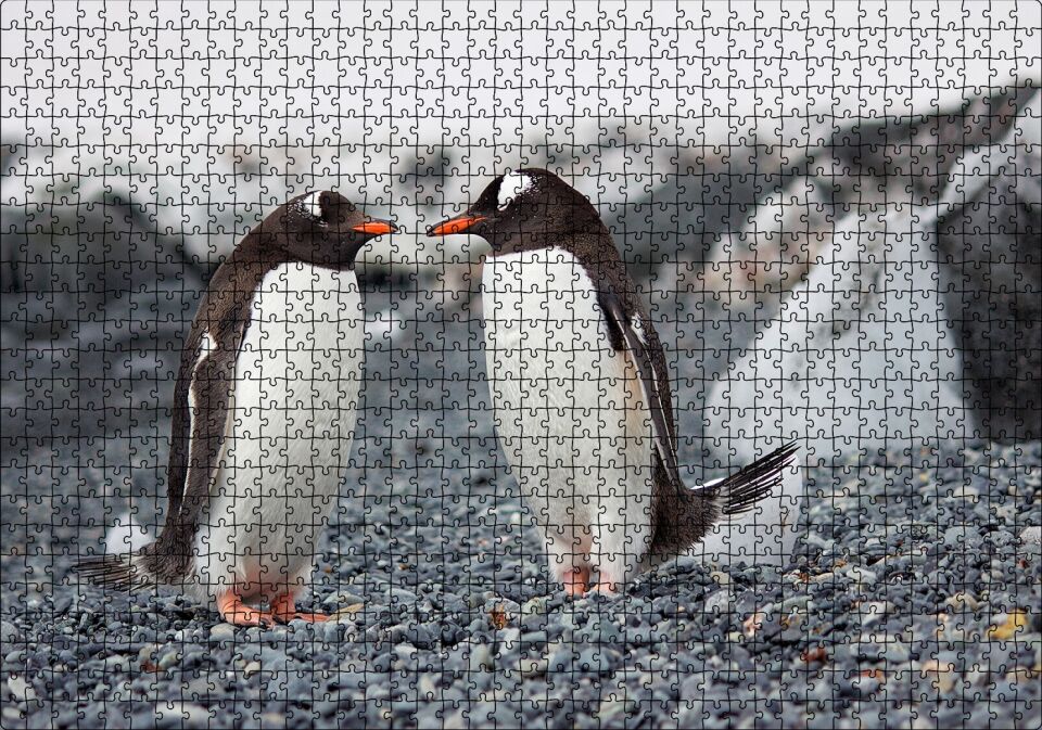 Sevimli Penguenler ve Çakıl Taşları Puzzle Yapboz MDF Ahşap 1000 Parça 49 cm X 68 cm