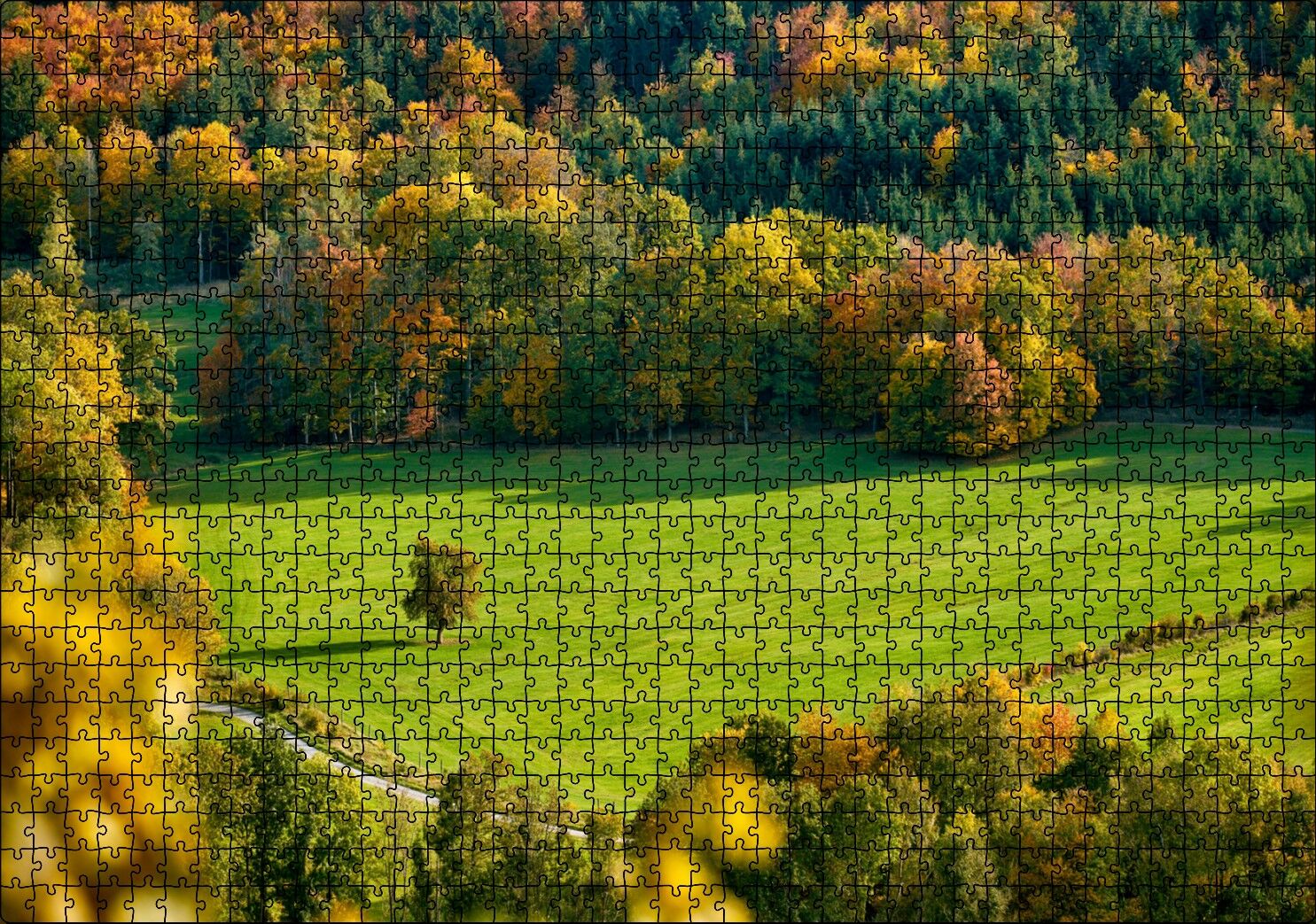 Ormanın Ortasındaki Yemyeşil Arazi ve Yalnız Ağaç Puzzle Yapboz MDF Ahşap 1000 Parça 49 cm X 68 cm