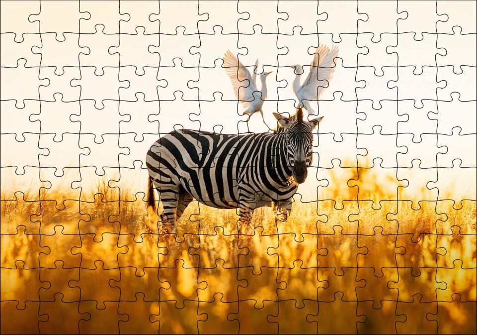 Doğada Zebra Ve Kuşlar Görseli Puzzle Yapboz MDF Ahşap 120 Parça 24 cm X 34 cm