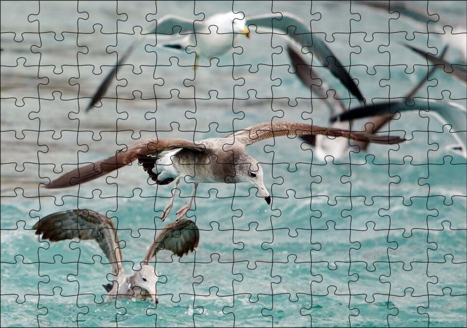 Martılar ve Dalgalı Deniz Arka Plan Puzzle Yapboz MDF Ahşap