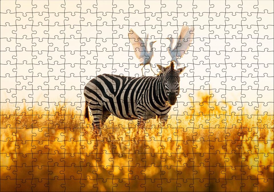 Doğada Zebra Ve Kuşlar Görseli Puzzle Yapboz MDF Ahşap 255 Parça 34 cm X 49 cm