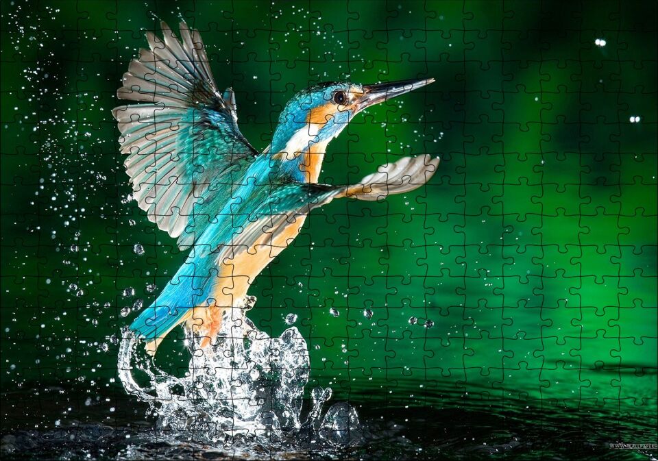 Havalanan Sinekkuşu ve Su Damlacıkları Puzzle Yapboz MDF Ahşap 255 Parça 34 cm X 49 cm