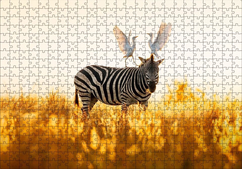 Doğada Zebra Ve Kuşlar Görseli Puzzle Yapboz MDF Ahşap 500 Parça 49 cm X 68 cm