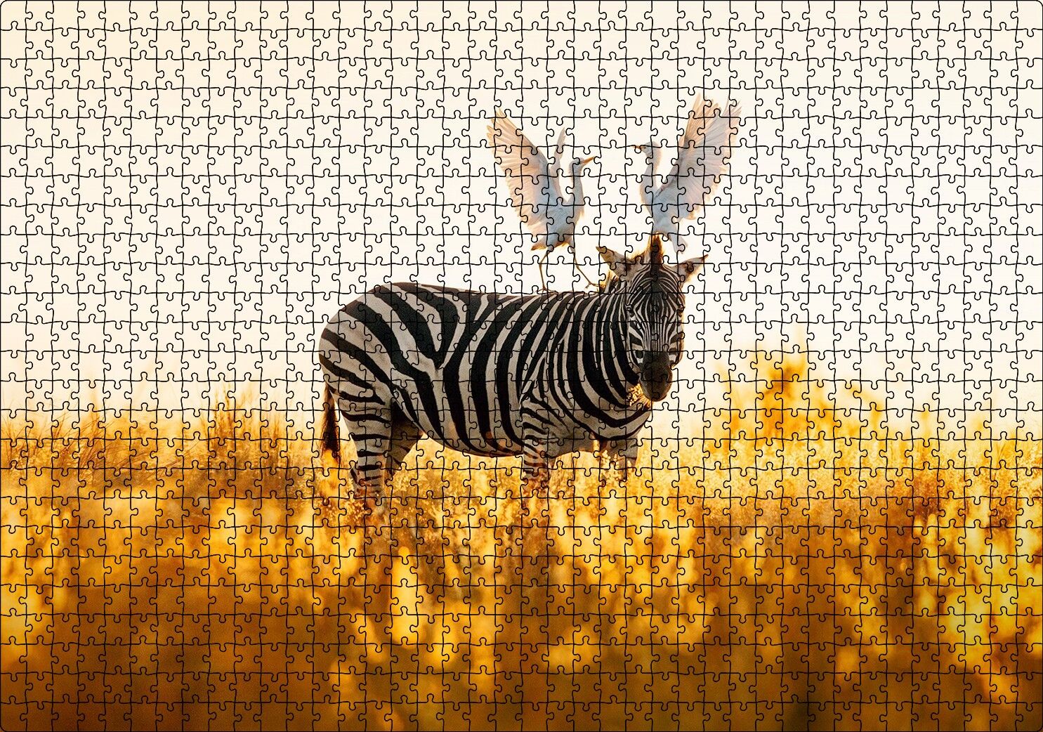 Doğada Zebra Ve Kuşlar Görseli Puzzle Yapboz MDF Ahşap 1000 Parça 49 cm X 68 cm