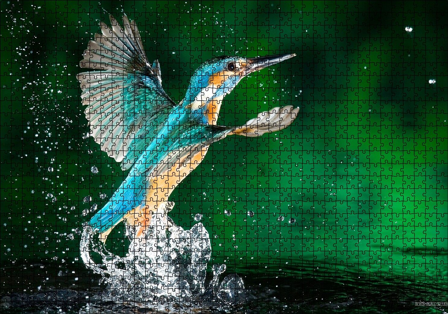 Havalanan Sinekkuşu ve Su Damlacıkları Puzzle Yapboz MDF Ahşap 1000 Parça 49 cm X 68 cm