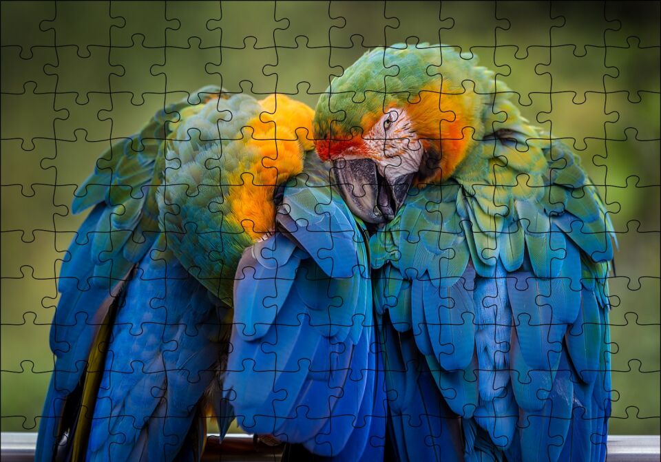 Bir Çift Mavi Macaw Papağanı Puzzle Yapboz MDF Ahşap 120 Parça 24 cm X 34 cm