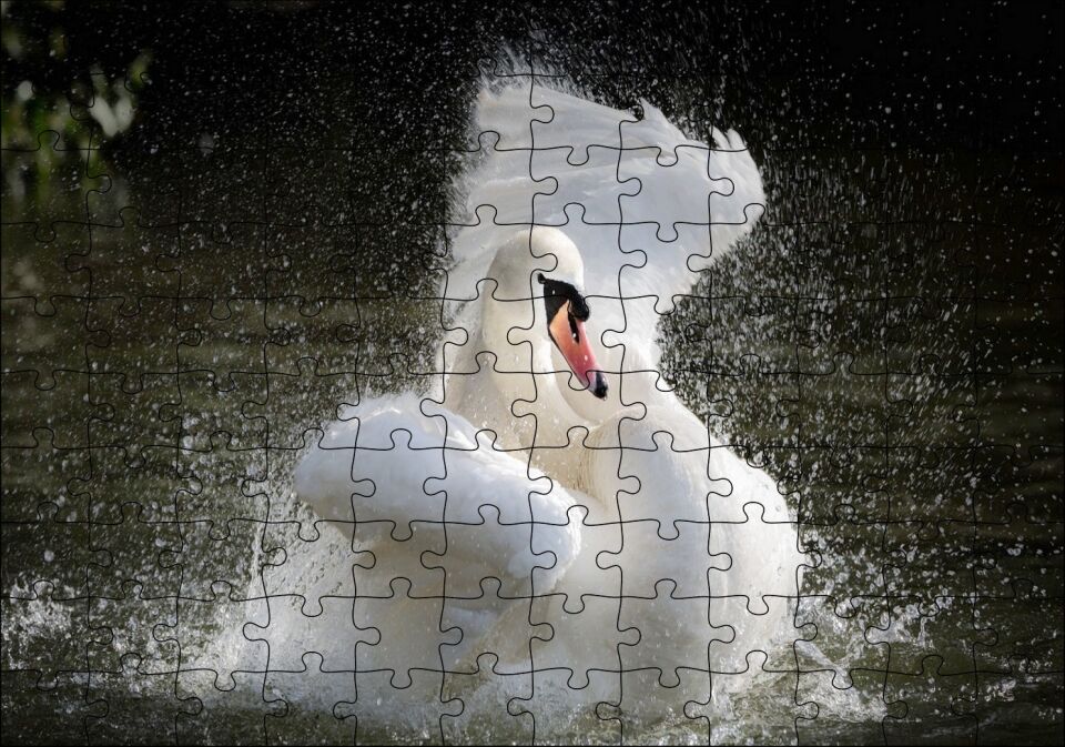 Gölde Kanatlarını Temizleyen Beyaz Kuğu Puzzle Yapboz MDF Ahşap