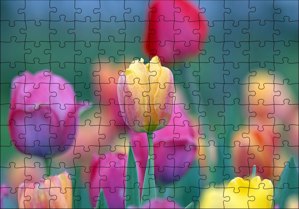 Baharda Renkli Laleler Görseli Puzzle Yapboz MDF Ahşap 120 Parça 24 cm X 34 cm