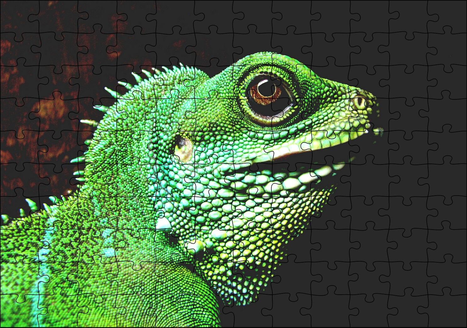 Parlak Yeşil Renkleriyle Kertenkele Puzzle Yapboz MDF Ahşap 120 Parça 24 cm X 34 cm
