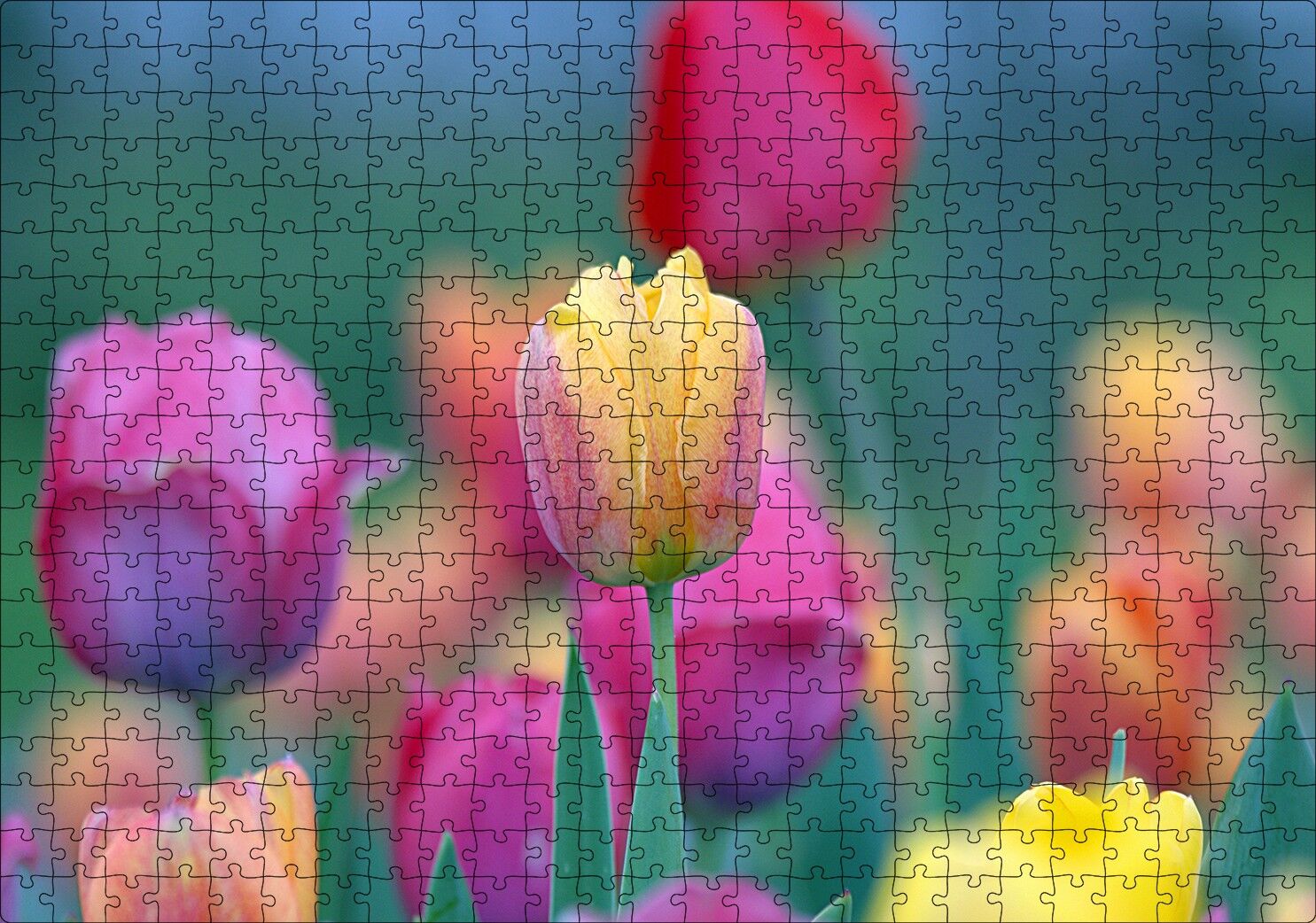 Baharda Renkli Laleler Görseli Puzzle Yapboz MDF Ahşap 500 Parça 49 cm X 68 cm