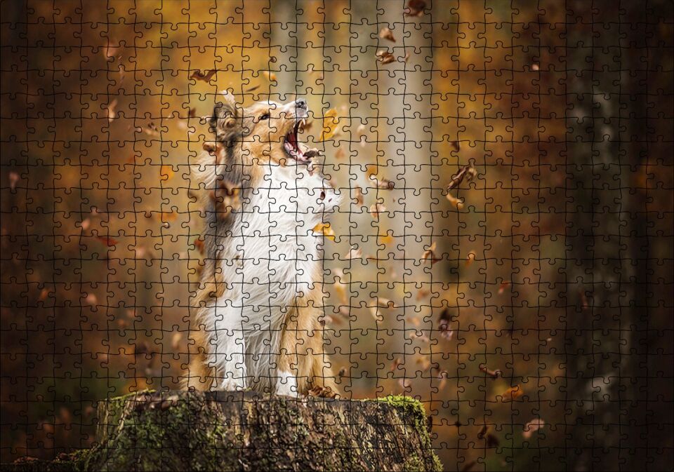 Rüzgarla Kavga Eden Köpekçik Puzzle Yapboz MDF Ahşap 500 Parça 49 cm X 68 cm