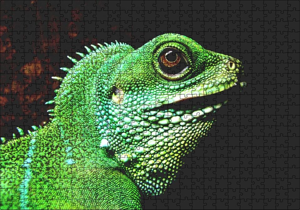 Parlak Yeşil Renkleriyle Kertenkele Puzzle Yapboz MDF Ahşap 500 Parça 49 cm X 68 cm