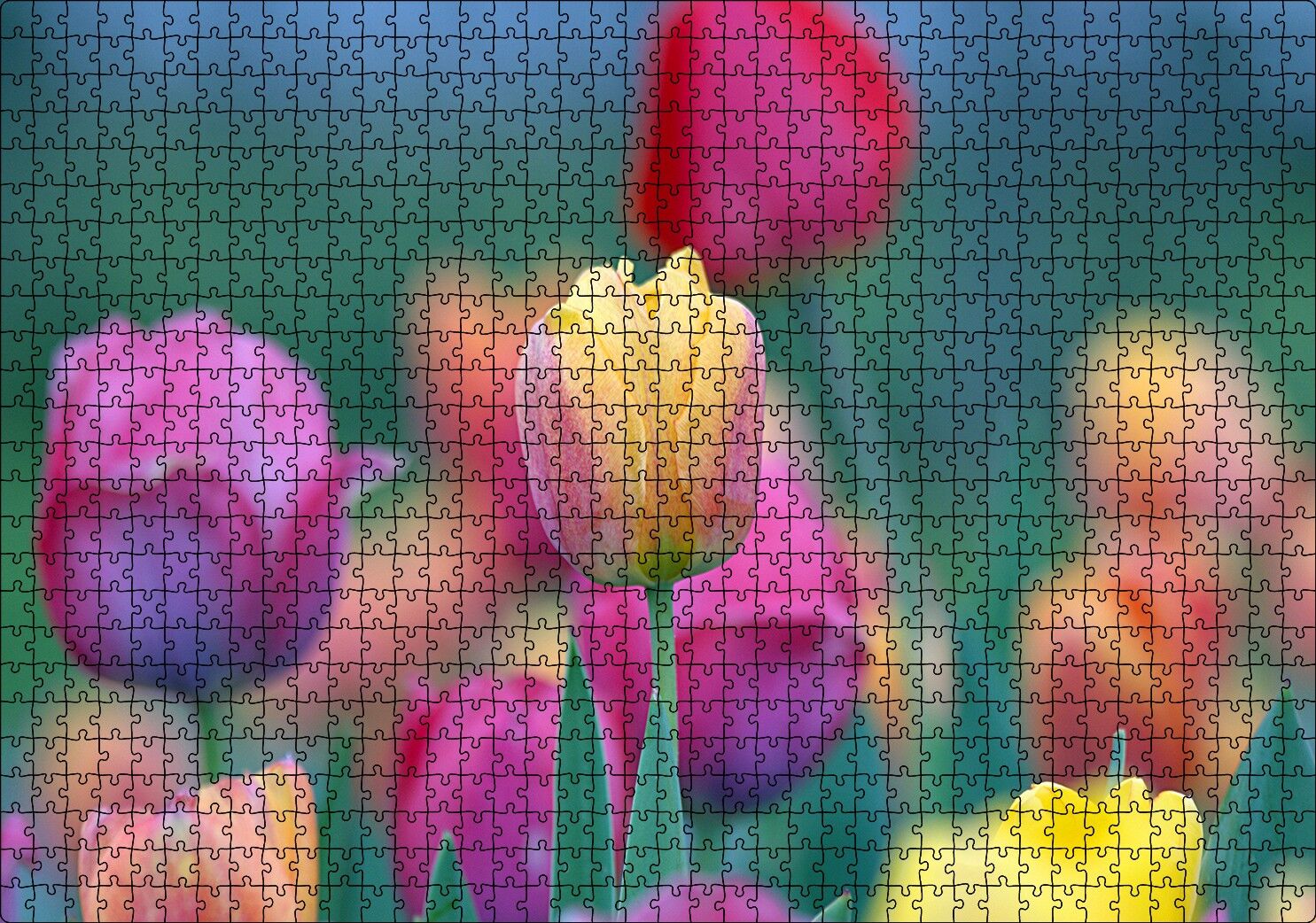 Baharda Renkli Laleler Görseli Puzzle Yapboz MDF Ahşap 1000 Parça 49 cm X 68 cm