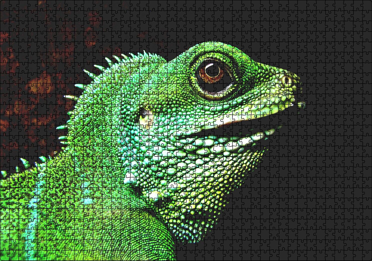 Parlak Yeşil Renkleriyle Kertenkele Puzzle Yapboz MDF Ahşap 1000 Parça 49 cm X 68 cm