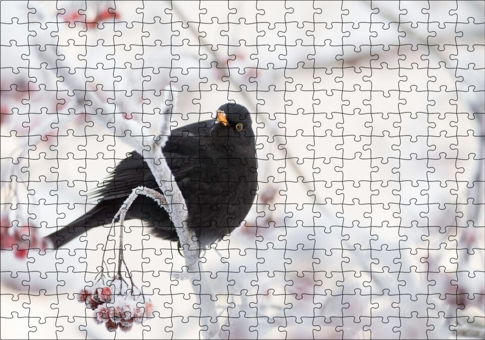 Karlı Dalların Üzerindeki Karatavuk Puzzle Yapboz MDF Ahşap 255 Parça 34 cm X 49 cm