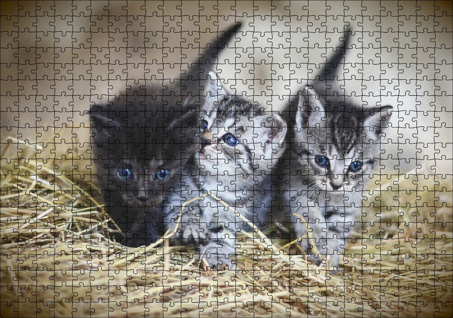 Samanlar Arasında Mavi Gözlü Üç Yavru Kedi Puzzle Yapboz MDF Ahşap 500 Parça 49 cm X 68 cm