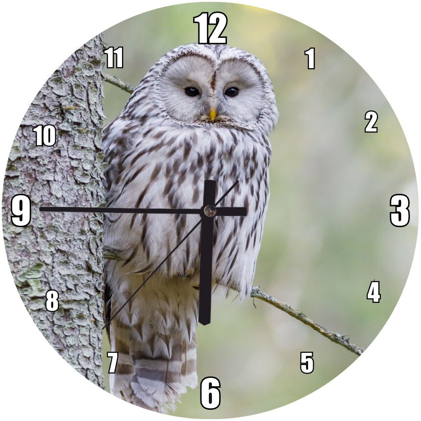 Gri Ağaçtaki Gri Baykuş Mdf Ahşap Duvar Saati