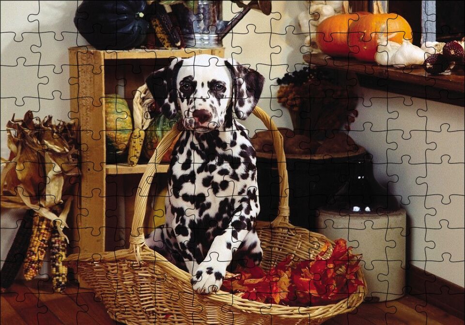 Sepetteki Dalmaçyalı Puzzle Yapboz MDF Ahşap 120 Parça 24 cm X 34 cm