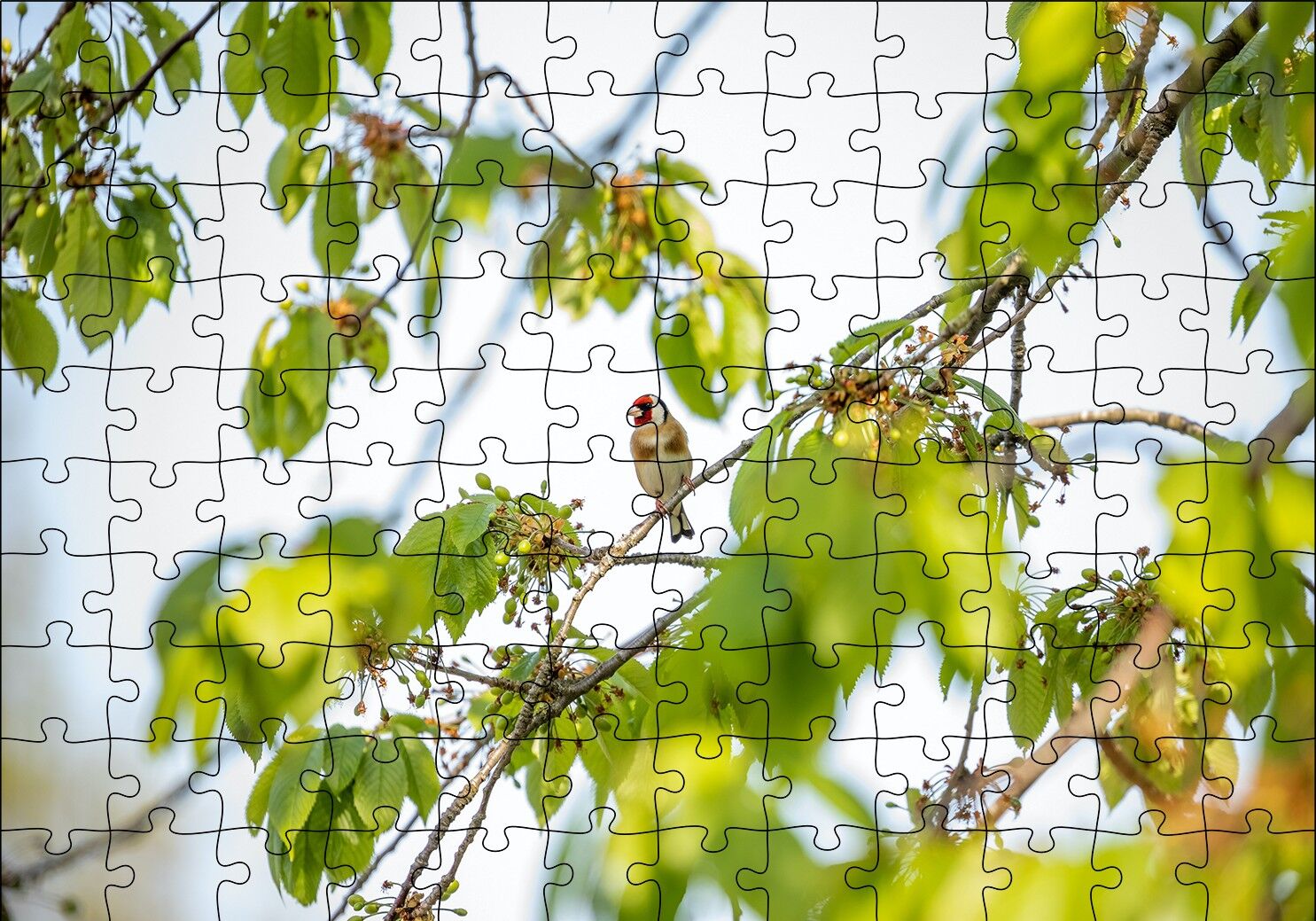 Ağacın Dalları Arasındaki Kırmızı Yüzlü Kuş Puzzle Yapboz MDF Ahşap 120 Parça 24 cm X 34 cm