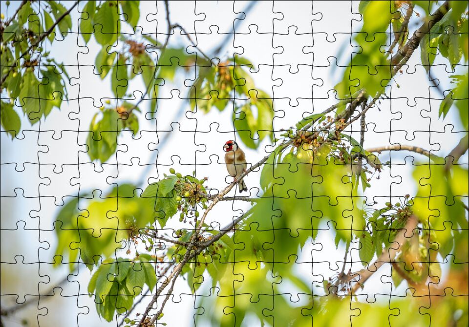 Ağacın Dalları Arasındaki Kırmızı Yüzlü Kuş Puzzle Yapboz MDF Ahşap 120 Parça 24 cm X 34 cm