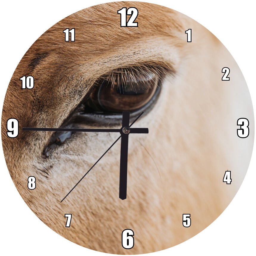 Kahverengi Eşek ve Gözü Yakın Plan Mdf Ahşap Duvar Saati