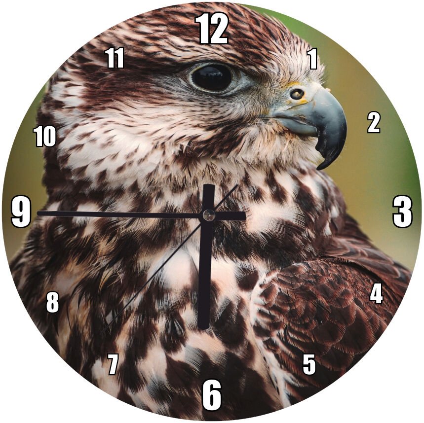 Kahverengi Ulu Doğan Mdf Ahşap Duvar Saati