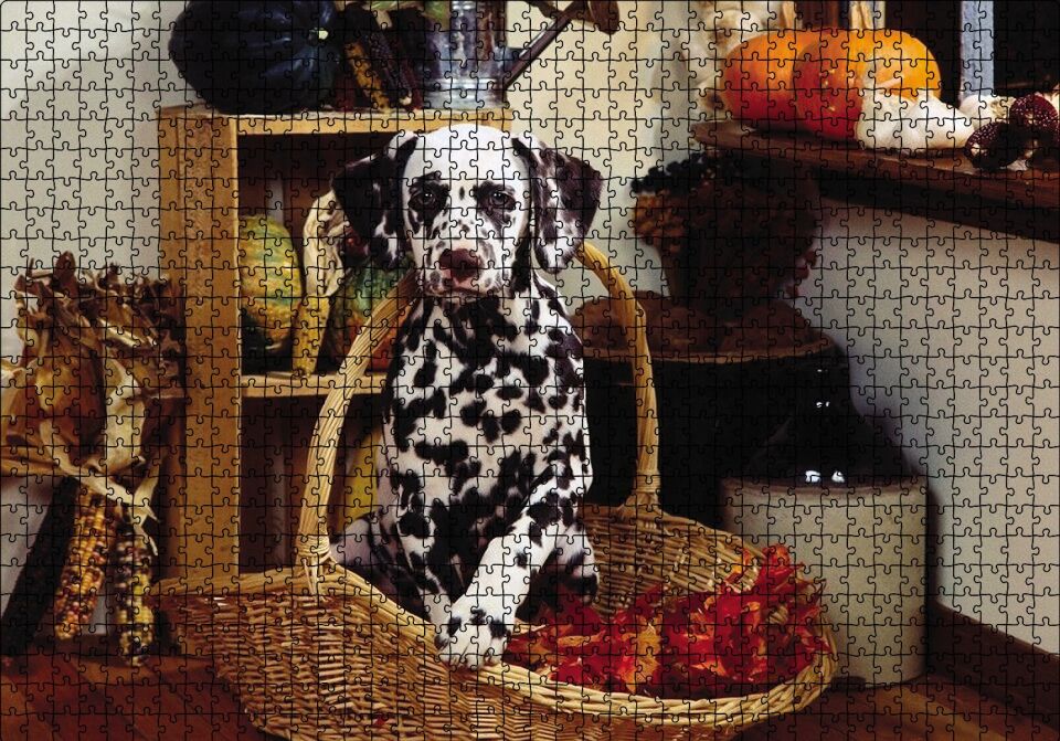 Sepetteki Dalmaçyalı Puzzle Yapboz MDF Ahşap 1000 Parça 49 cm X 68 cm