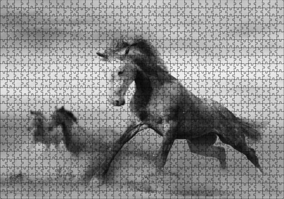 Fırtınada Koşan Atlar Görseli Puzzle Yapboz MDF Ahşap 1000 Parça 49 cm X 68 cm